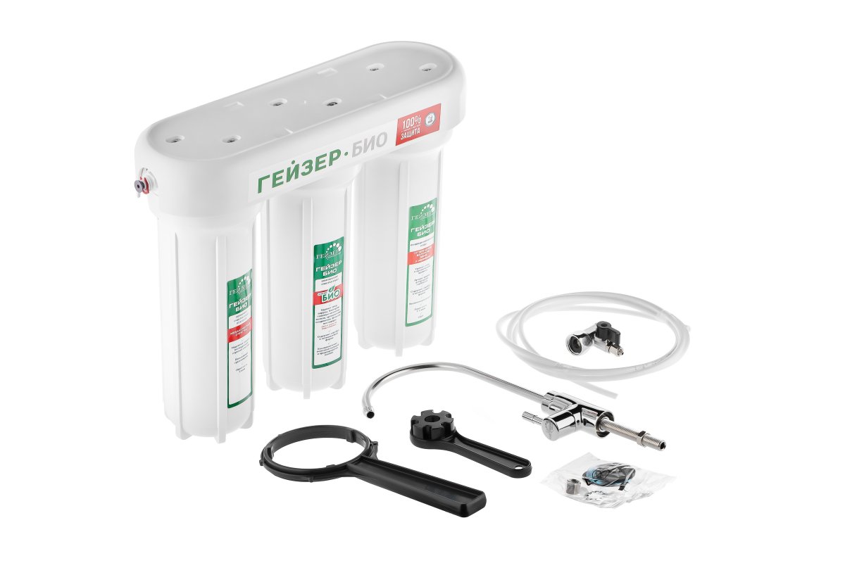 Комплектация Гейзер Био 321 (11040)